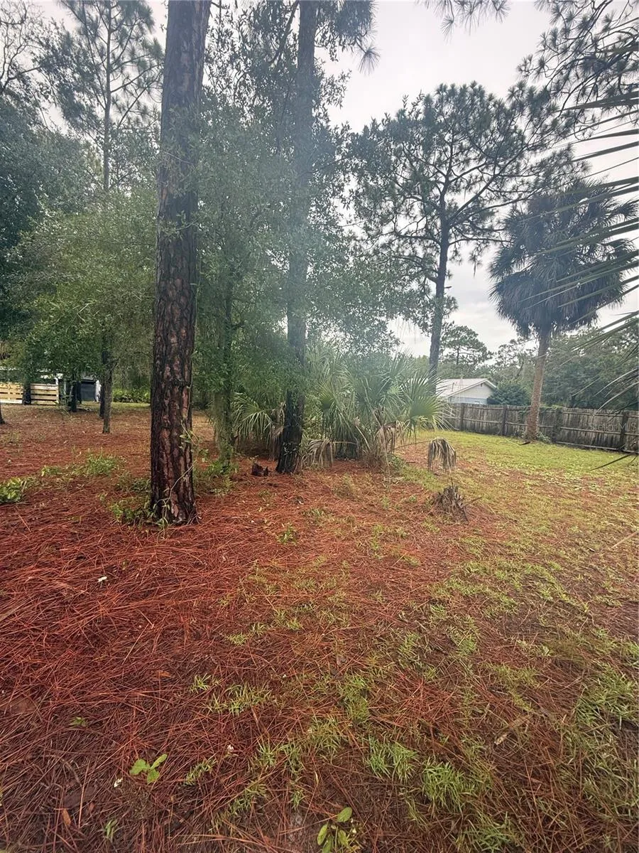 1393 S CANDLENUT AVENUE Homosassa, FL 34448