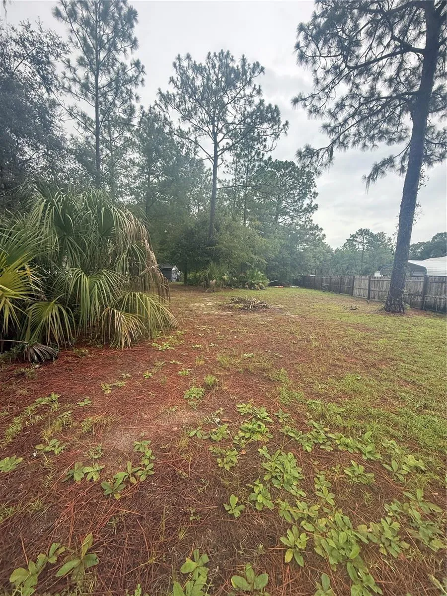 1393 S CANDLENUT AVENUE Homosassa, FL 34448