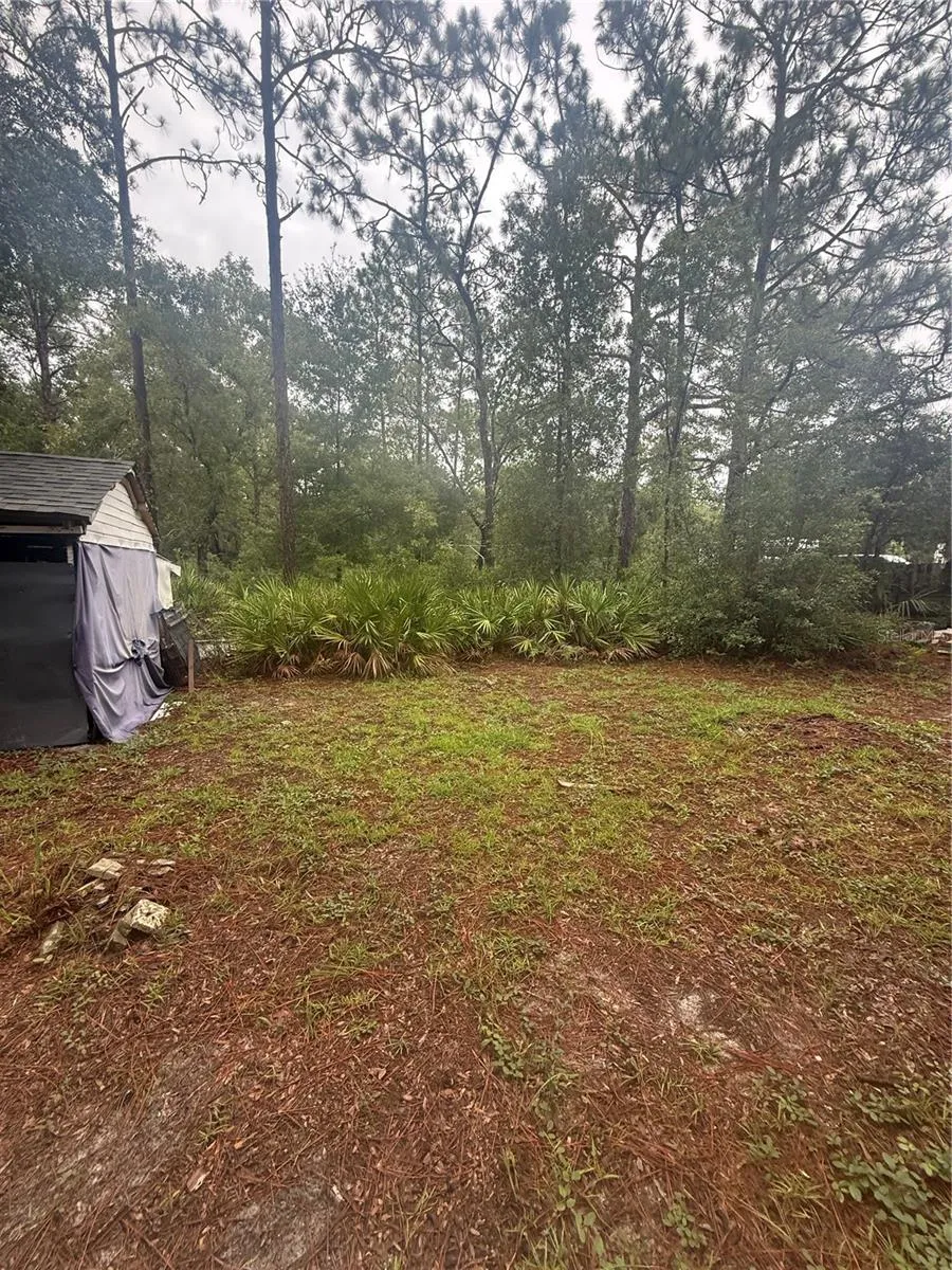 1393 S CANDLENUT AVENUE Homosassa, FL 34448