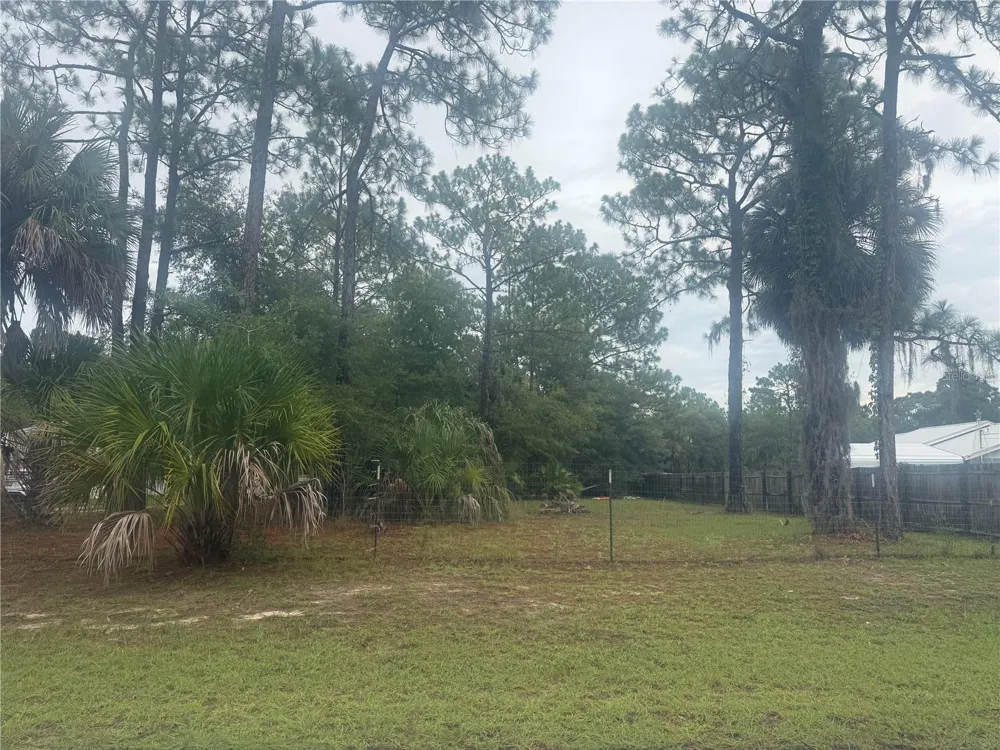 1393 S CANDLENUT AVENUE Homosassa, FL 34448