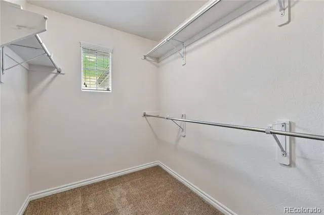 3110 Redhaven Way Highlands Ranch, CO 80126