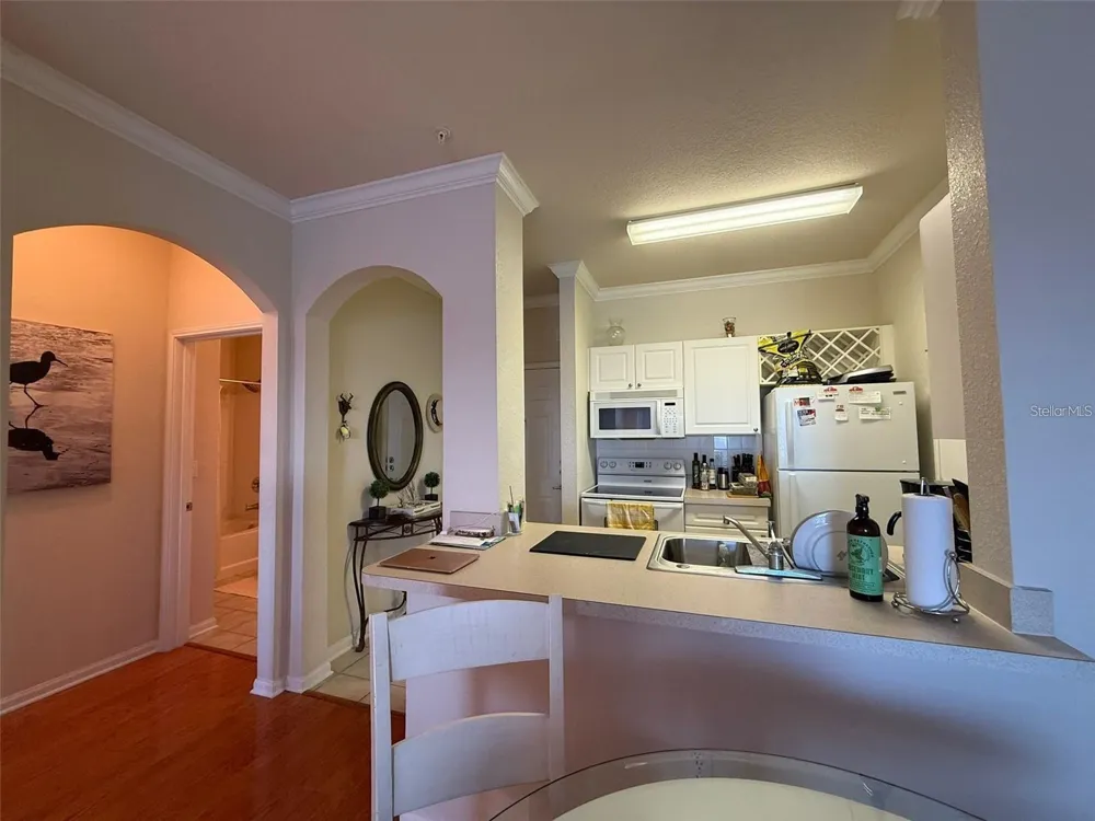 1216 S MISSOURI AVENUE #427 Clearwater, FL 33756