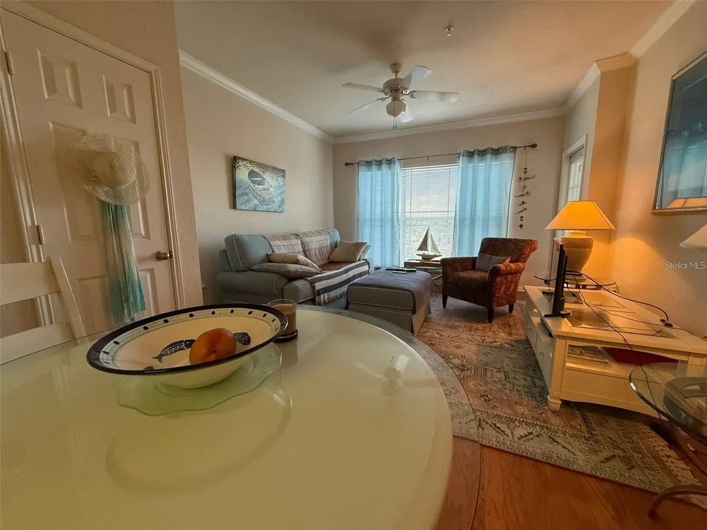 1216 S MISSOURI AVENUE #427 Clearwater, FL 33756