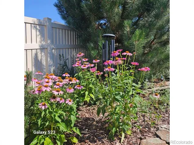 5606 Tumbleweed Avenue Firestone, CO 80504