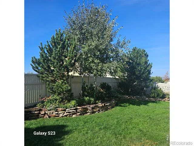 5606 Tumbleweed Avenue Firestone, CO 80504