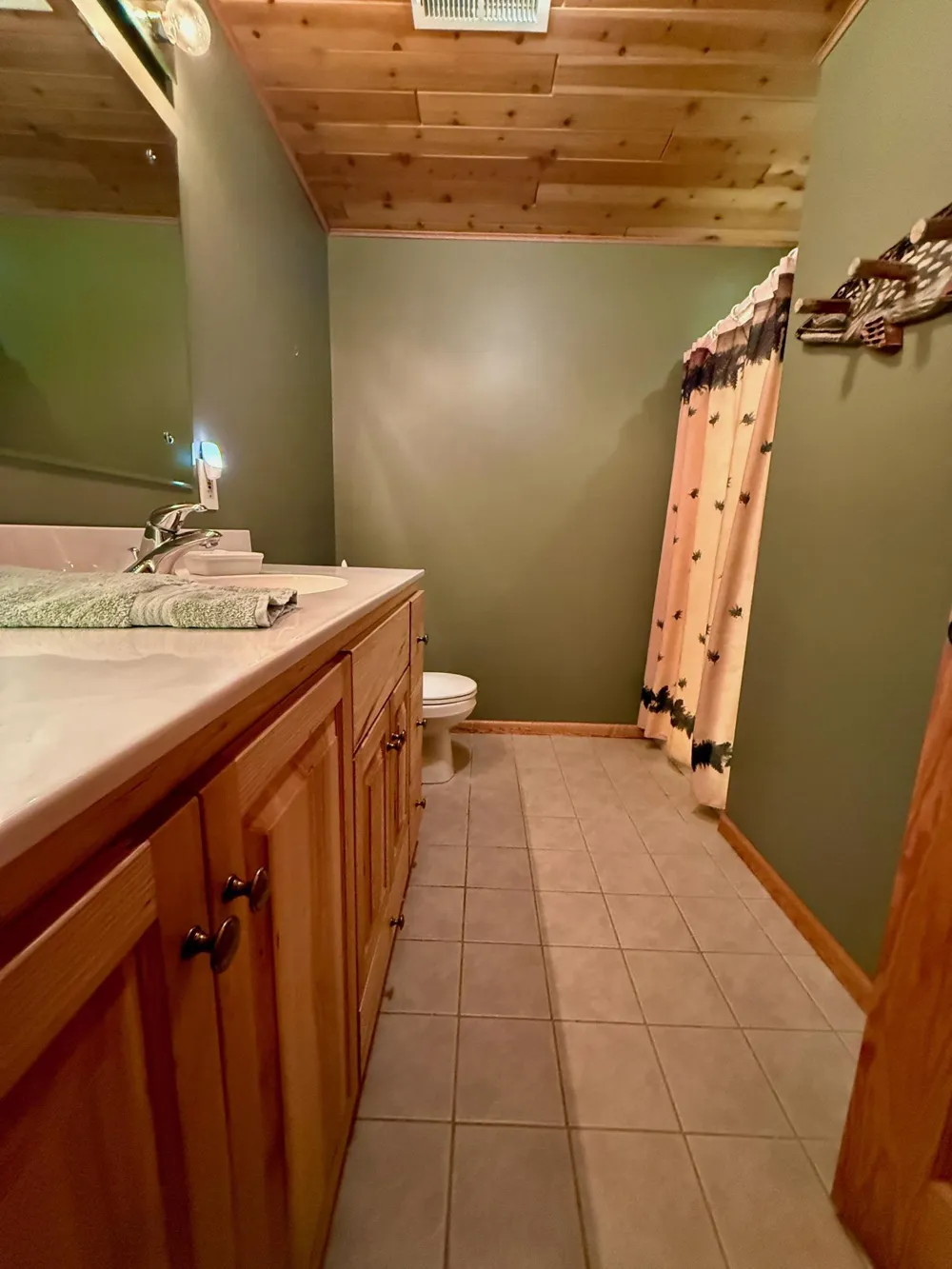 39617 County Road 19 Deer River, MN 56636