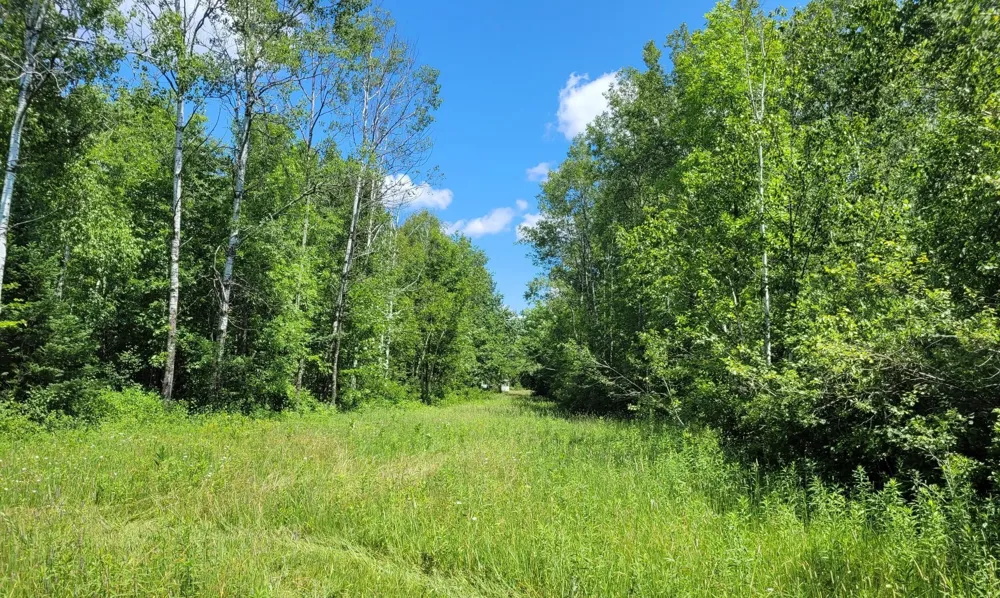 TBD 150th McGrath, MN 56350
