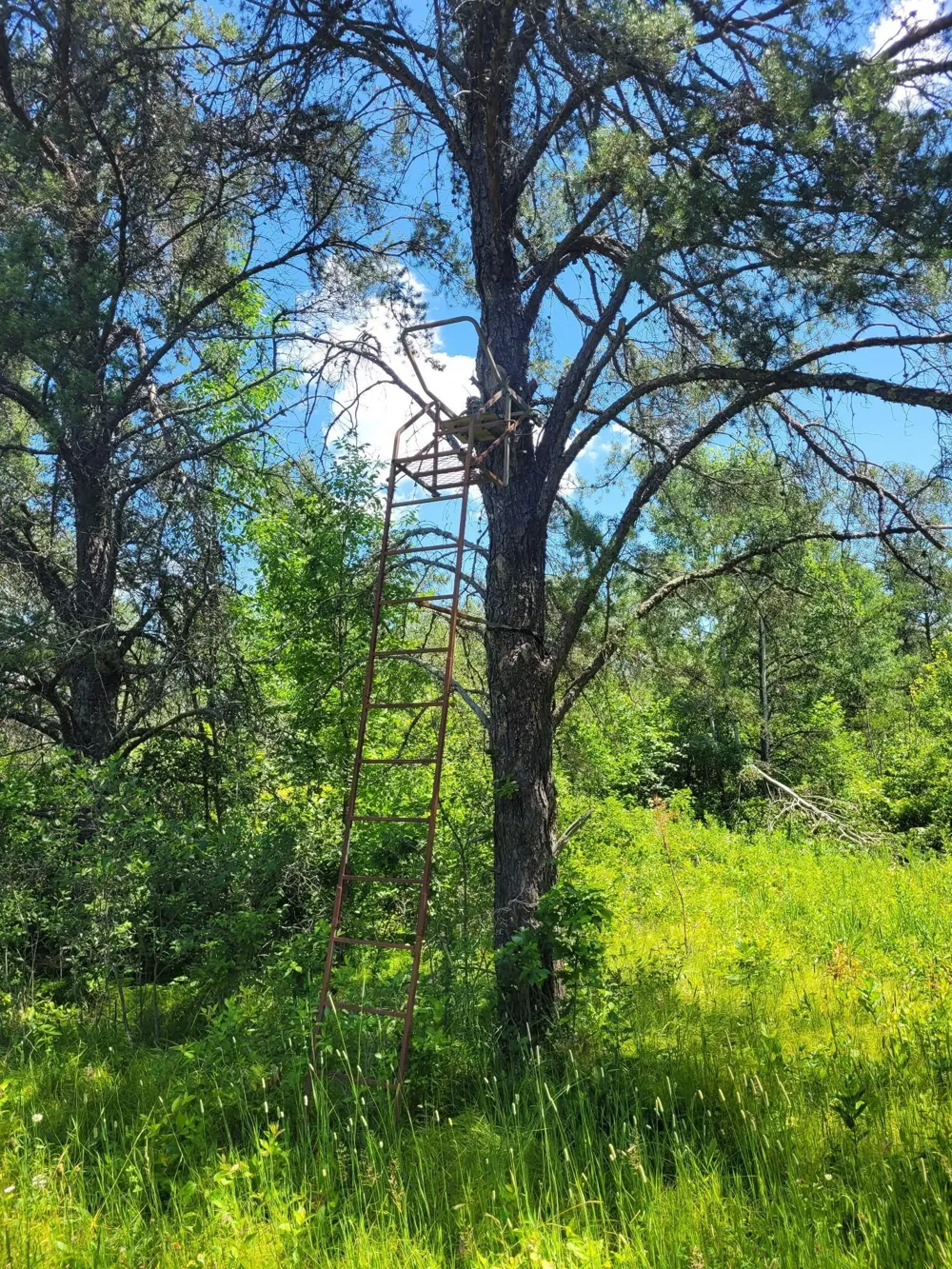 TBD 150th McGrath, MN 56350