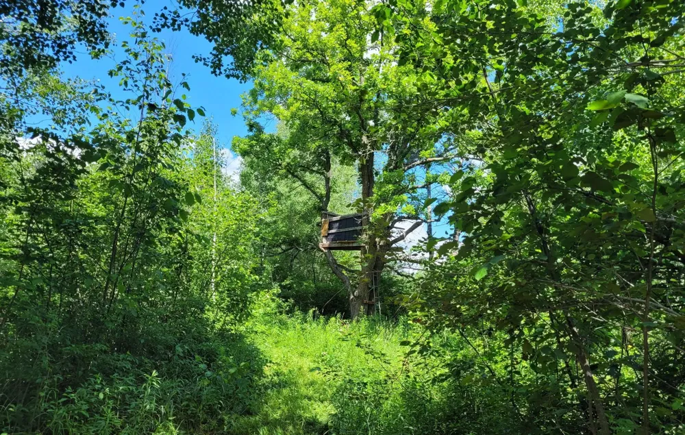 TBD 150th McGrath, MN 56350