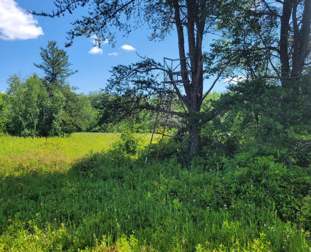 TBD 150th McGrath, MN 56350