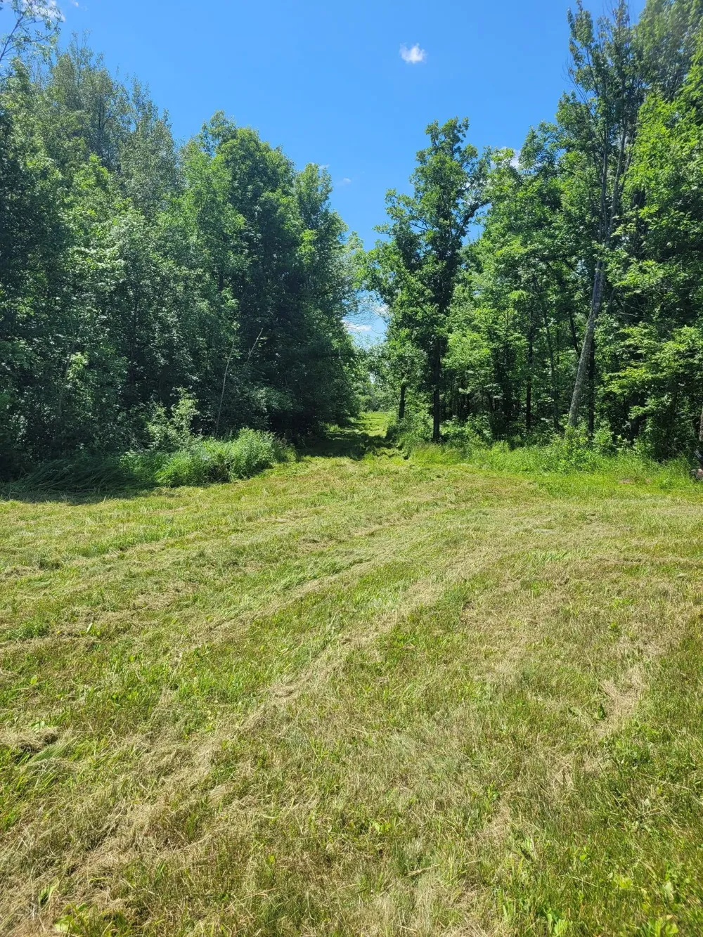 TBD 150th McGrath, MN 56350