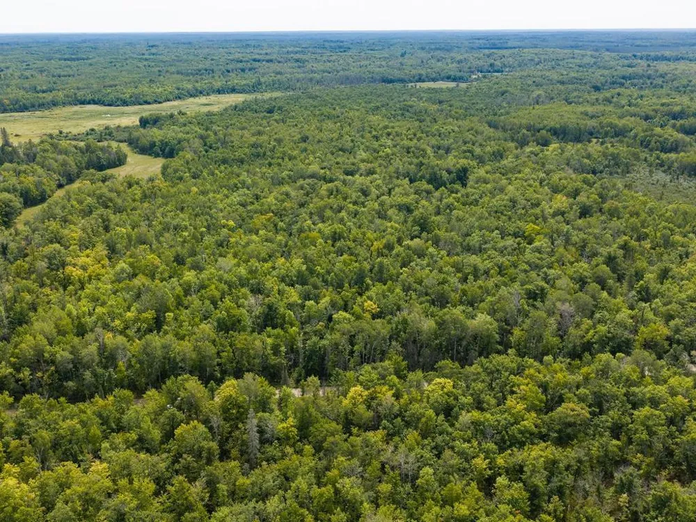 TBD 150th McGrath, MN 56350