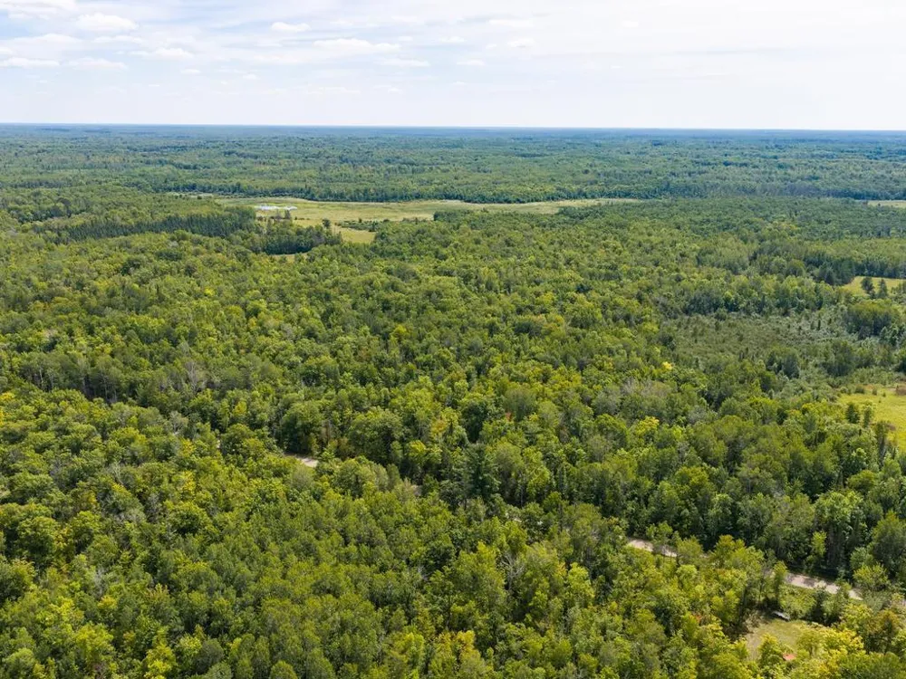 TBD 150th McGrath, MN 56350