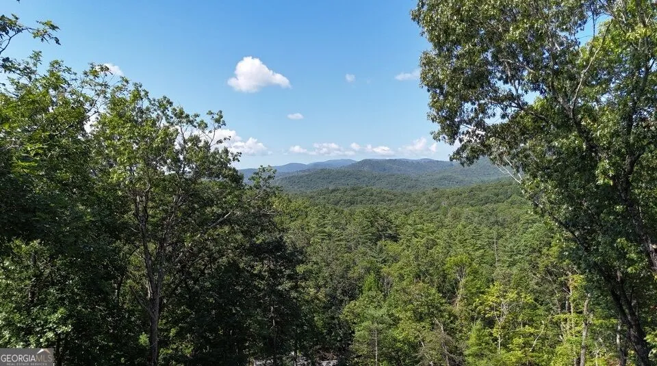 LOTS 12 &14 Crows Nest Clayton, GA 30525