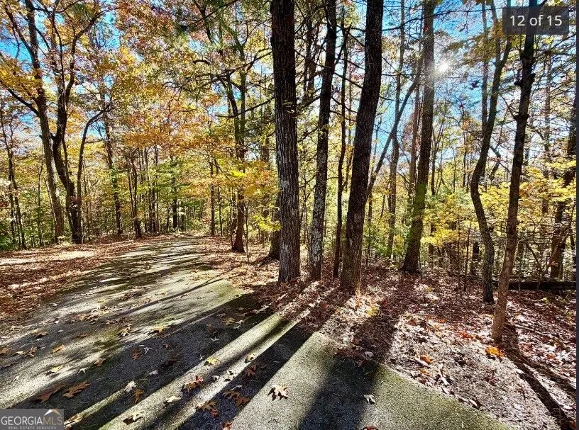 LOTS 12 &14 Crows Nest Clayton, GA 30525