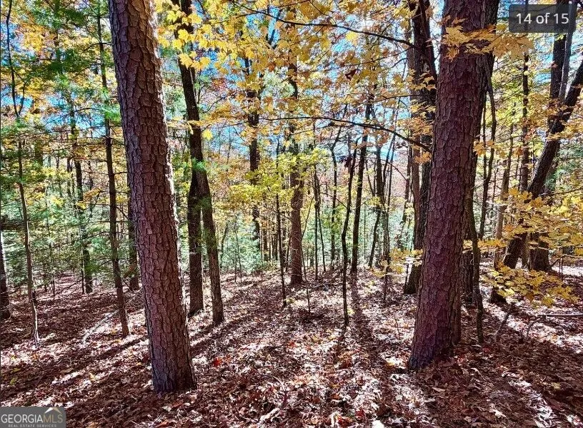 LOTS 12 &14 Crows Nest Clayton, GA 30525