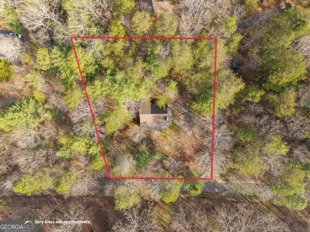 19 Blackberry Falls LN Ellijay, GA 30536