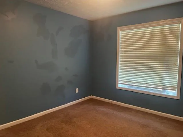 107 Meadows Drive Senoia, GA 30276