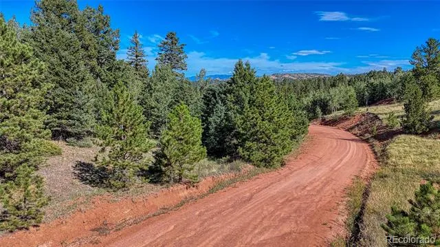 1232 Monarch Drive Cripple Creek, CO 80813