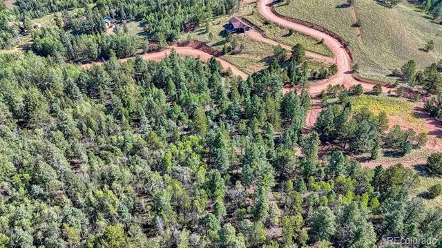 1232 Monarch Drive Cripple Creek, CO 80813