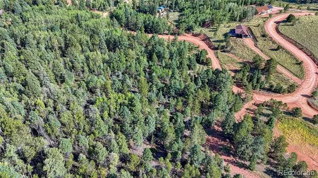 1232 Monarch Drive Cripple Creek, CO 80813