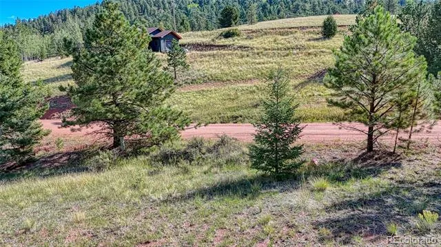 1232 Monarch Drive Cripple Creek, CO 80813