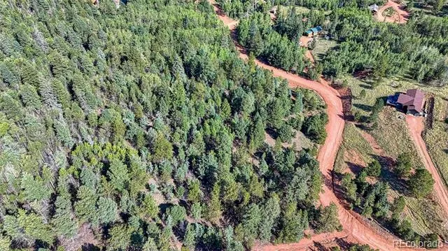 1232 Monarch Drive Cripple Creek, CO 80813