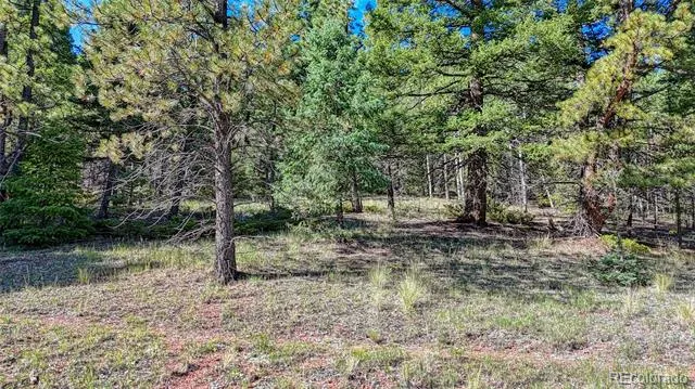 1232 Monarch Drive Cripple Creek, CO 80813