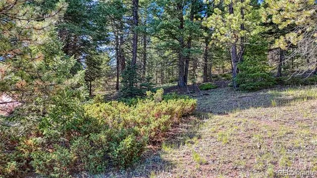 1232 Monarch Drive Cripple Creek, CO 80813