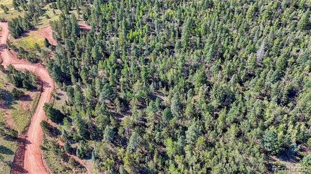1232 Monarch Drive Cripple Creek, CO 80813