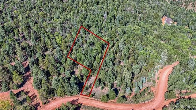 1232 Monarch Drive Cripple Creek, CO 80813