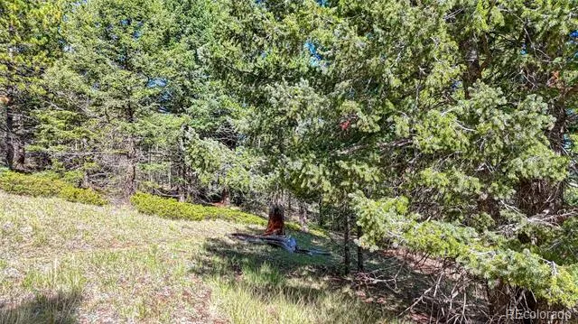 1232 Monarch Drive Cripple Creek, CO 80813