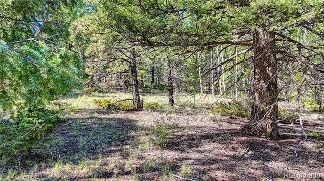 1232 Monarch Drive Cripple Creek, CO 80813