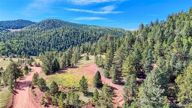 1232 Monarch Drive Cripple Creek, CO 80813