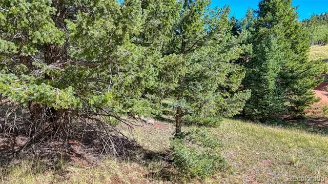 1232 Monarch Drive Cripple Creek, CO 80813