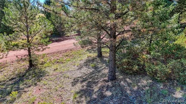 1232 Monarch Drive Cripple Creek, CO 80813