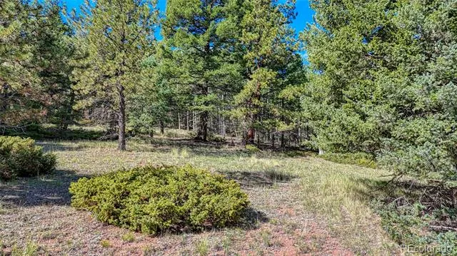 1232 Monarch Drive Cripple Creek, CO 80813