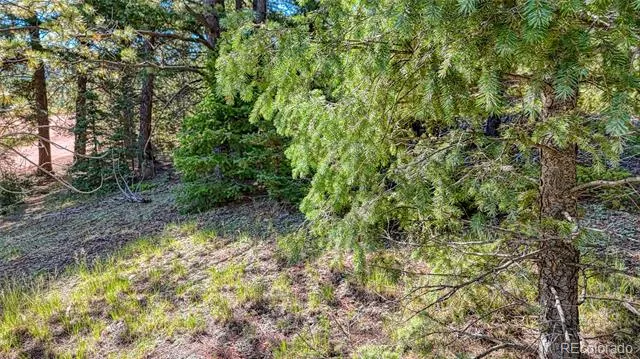 1232 Monarch Drive Cripple Creek, CO 80813