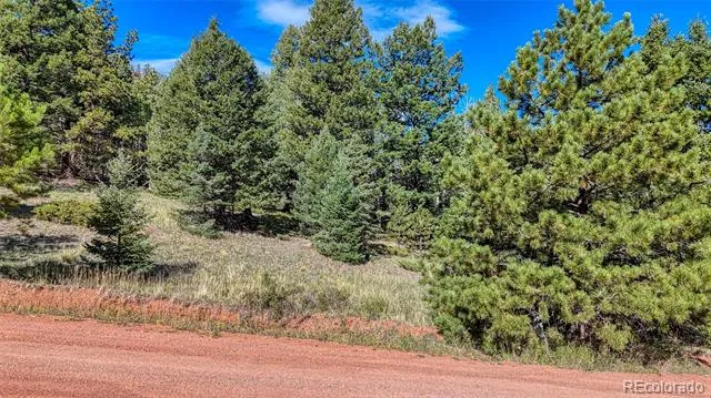1232 Monarch Drive Cripple Creek, CO 80813
