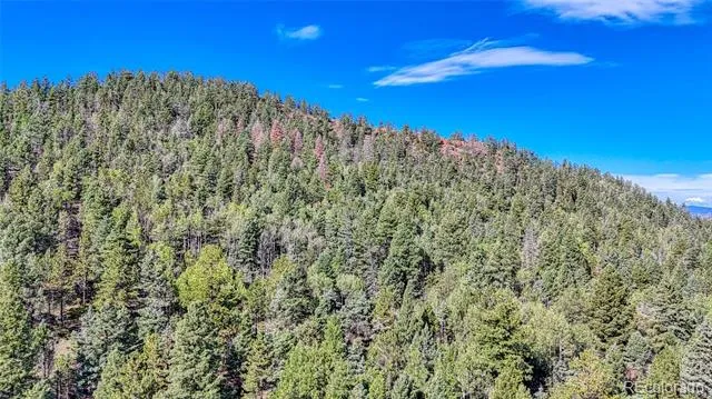 1232 Monarch Drive Cripple Creek, CO 80813