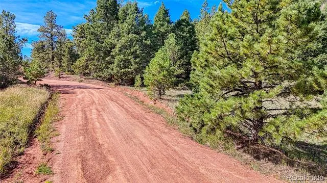 1232 Monarch Drive Cripple Creek, CO 80813