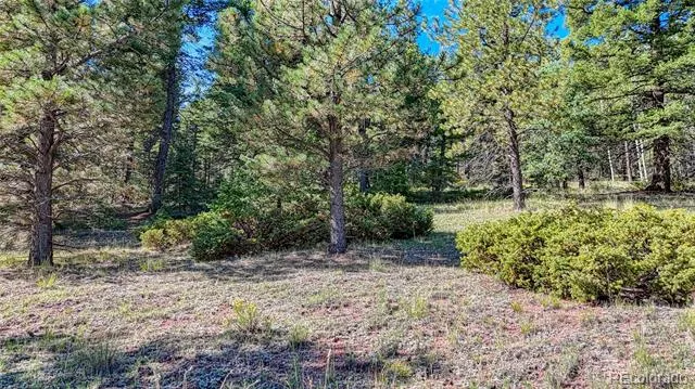 1232 Monarch Drive Cripple Creek, CO 80813