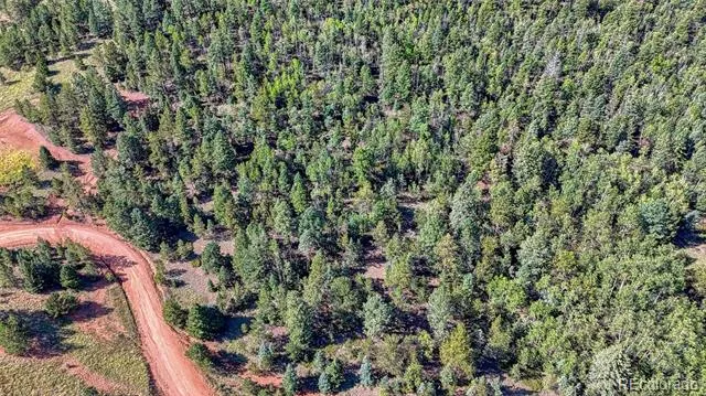 1232 Monarch Drive Cripple Creek, CO 80813
