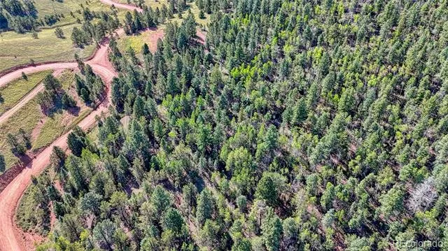 1232 Monarch Drive Cripple Creek, CO 80813
