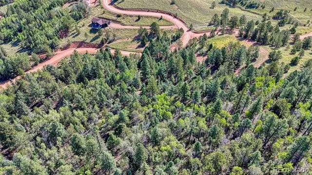 1232 Monarch Drive Cripple Creek, CO 80813