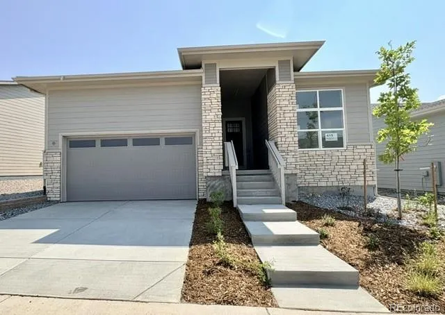 415 Basin Daisy Street Castle Rock, CO 80104
