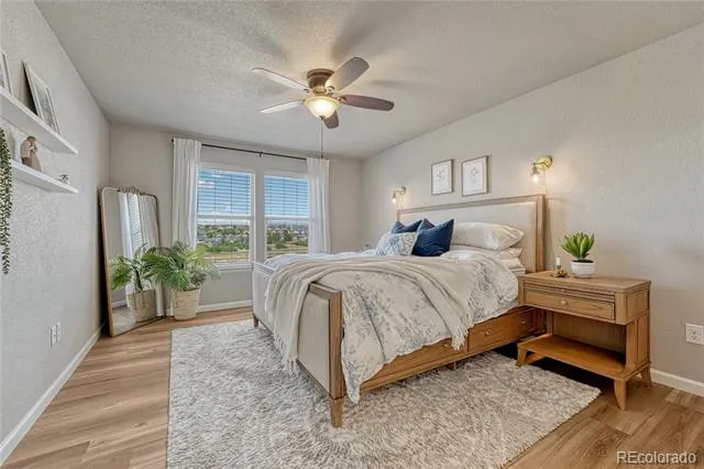 11347 Rill Point Colorado Springs, CO 80921