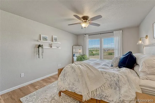 11347 Rill Point Colorado Springs, CO 80921