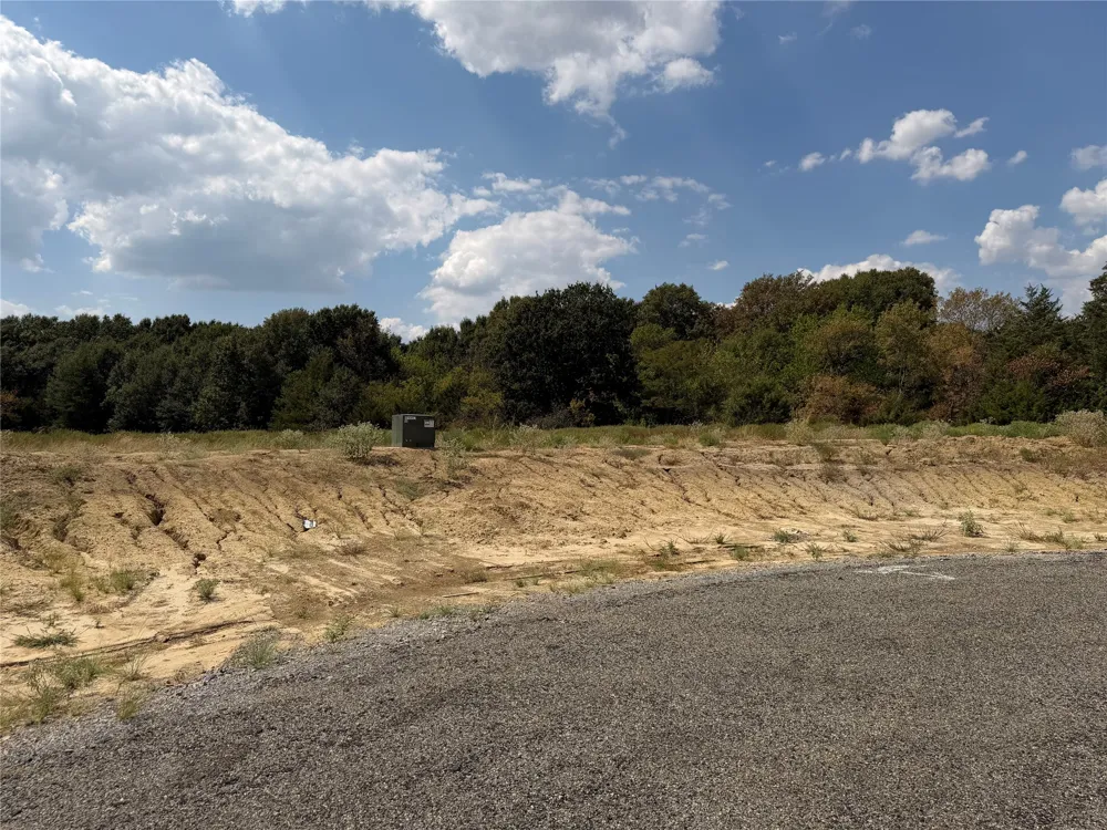 County Road 1110 Farmersville, TX 75442