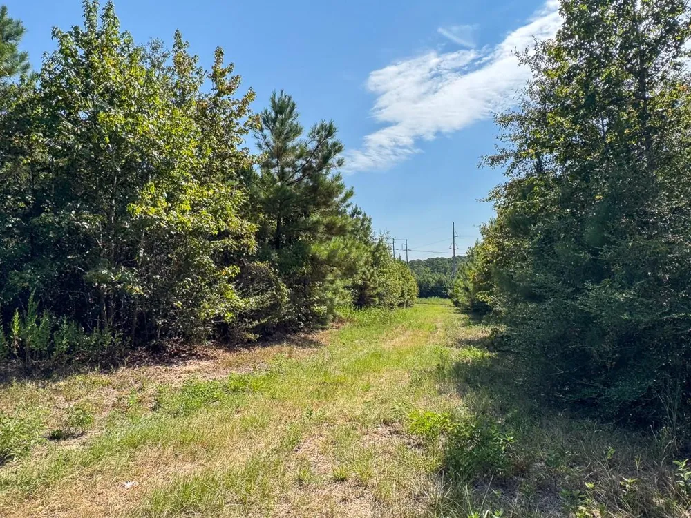 Johnson Road Huntsville, TX 77320